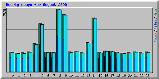 Hourly usage for August 2020