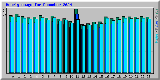 Hourly usage for December 2024