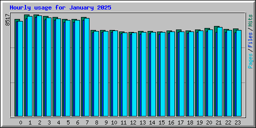 Hourly usage for January 2025