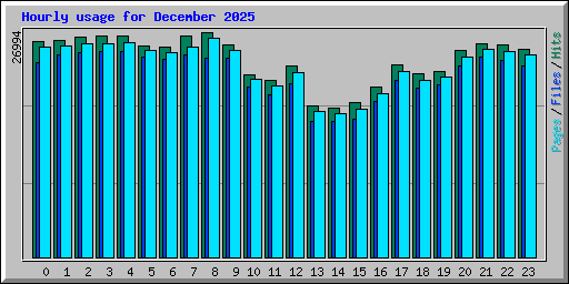 Hourly usage for December 2025