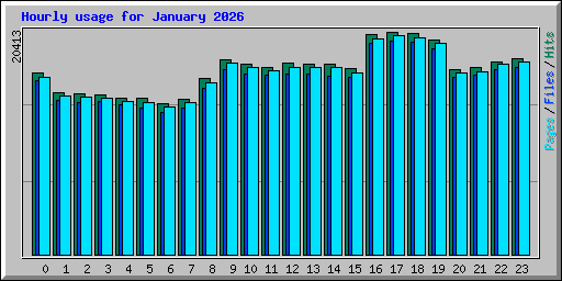 Hourly usage for January 2026